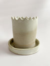 Mini Corona Planter