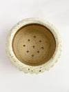 Corona Lace Planter
