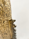 Corona Spine Vase